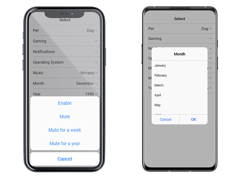 Select Felder bei iOS und Android